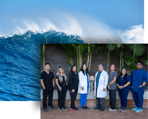 ocean waves and the dental staff at Pacific Dental Studio