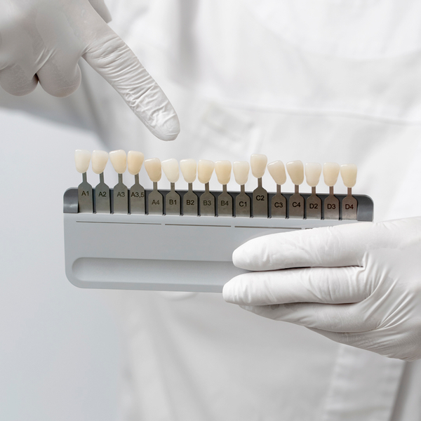 A dental professional displays a realistic porcelain tooth restoration model in a professional setting.
