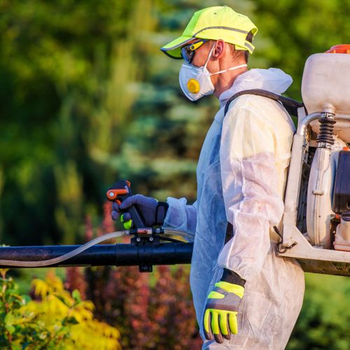 exterminator spraying pests