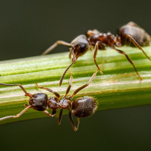 AdobeStock_489716459.jpeg