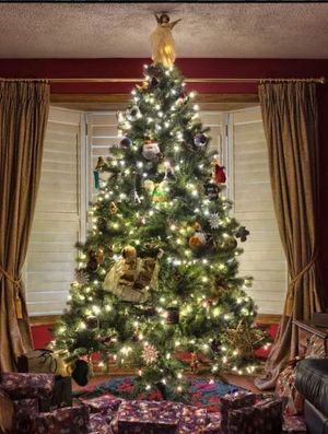 christmas_tree-RS.jpg