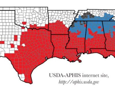 map_of_red_fire_ants-RS.jpg