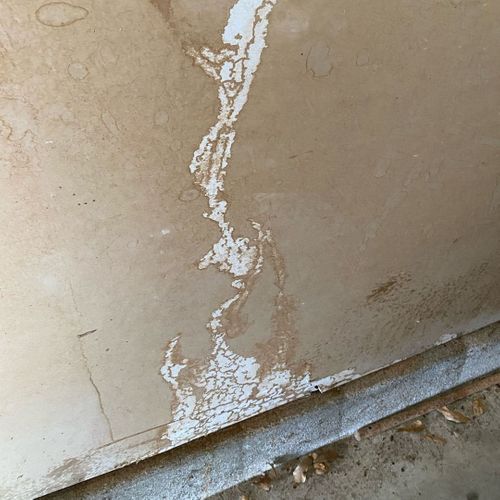 Signs of Termite Infestation.jpg