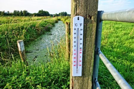 THERMOMETER_IN_FIELD-RS.jpg