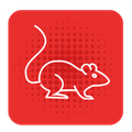 rodent.png