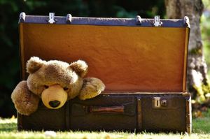 SUITCASE_WITH_BEAR-RS.jpg
