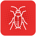 roach icon