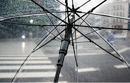 umbrella-RS.jpg