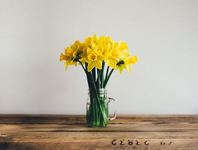 daffodils_rs.jpg