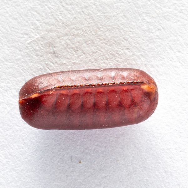 eggcase.jpg