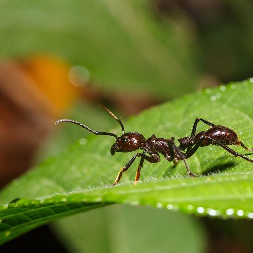 AdobeStock_481256288.jpeg