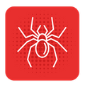 spider.png
