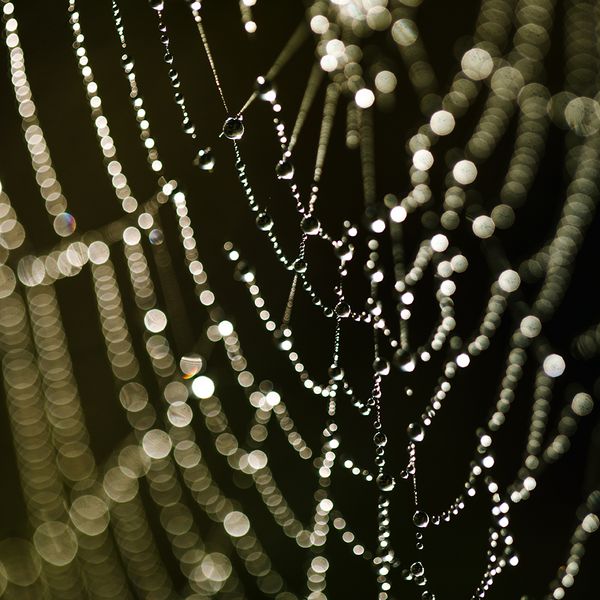 AdobeStock_301424010.jpeg