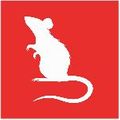 rodent.jpg