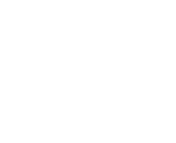 Seven Trees Aesthetics