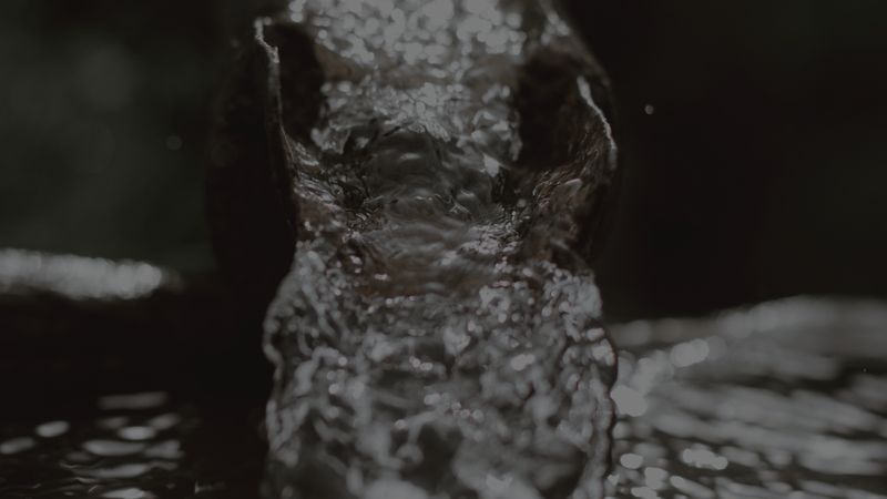 Rainwater running down a gutter Rainwater running down a gutter