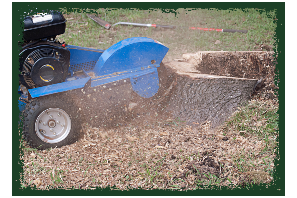 Tree stump removal equipment