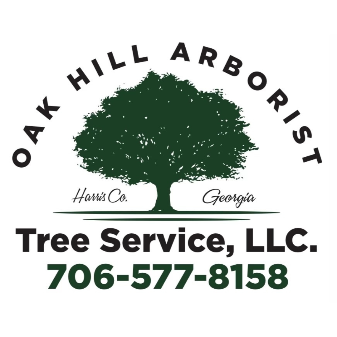 Oak Hill Arborist