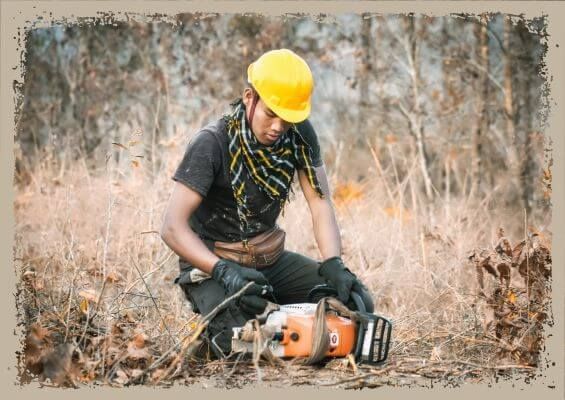 tree trimmer with chainsaw tree trimmer with chainsaw