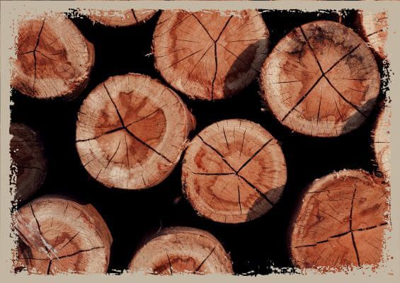 logs logs
