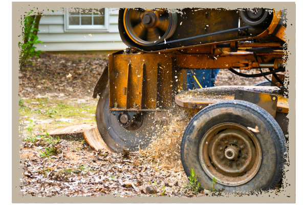 A tree stump removal machine