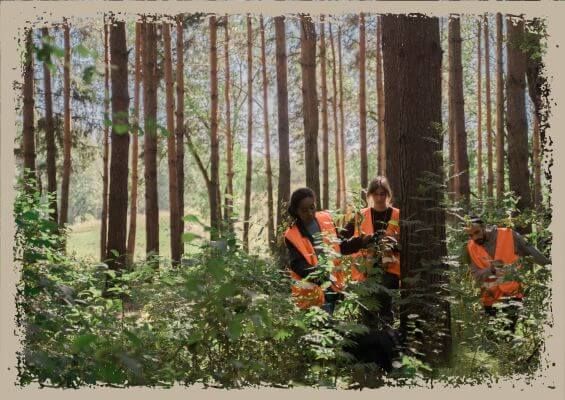 tree trimmers