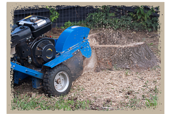 Phenix City Stump Removal - Image 2.png