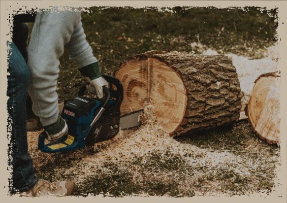 cutting tree cutting tree