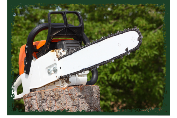 Phenix City Stump Removal - Image 3.png