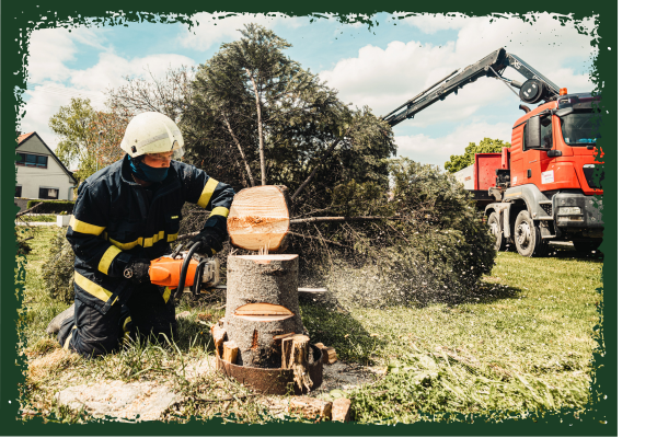 Muscogee County Tree Removal CE - Image 1.png