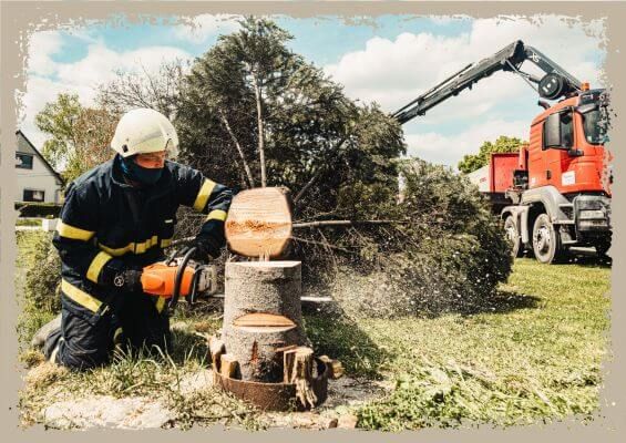 tree removal