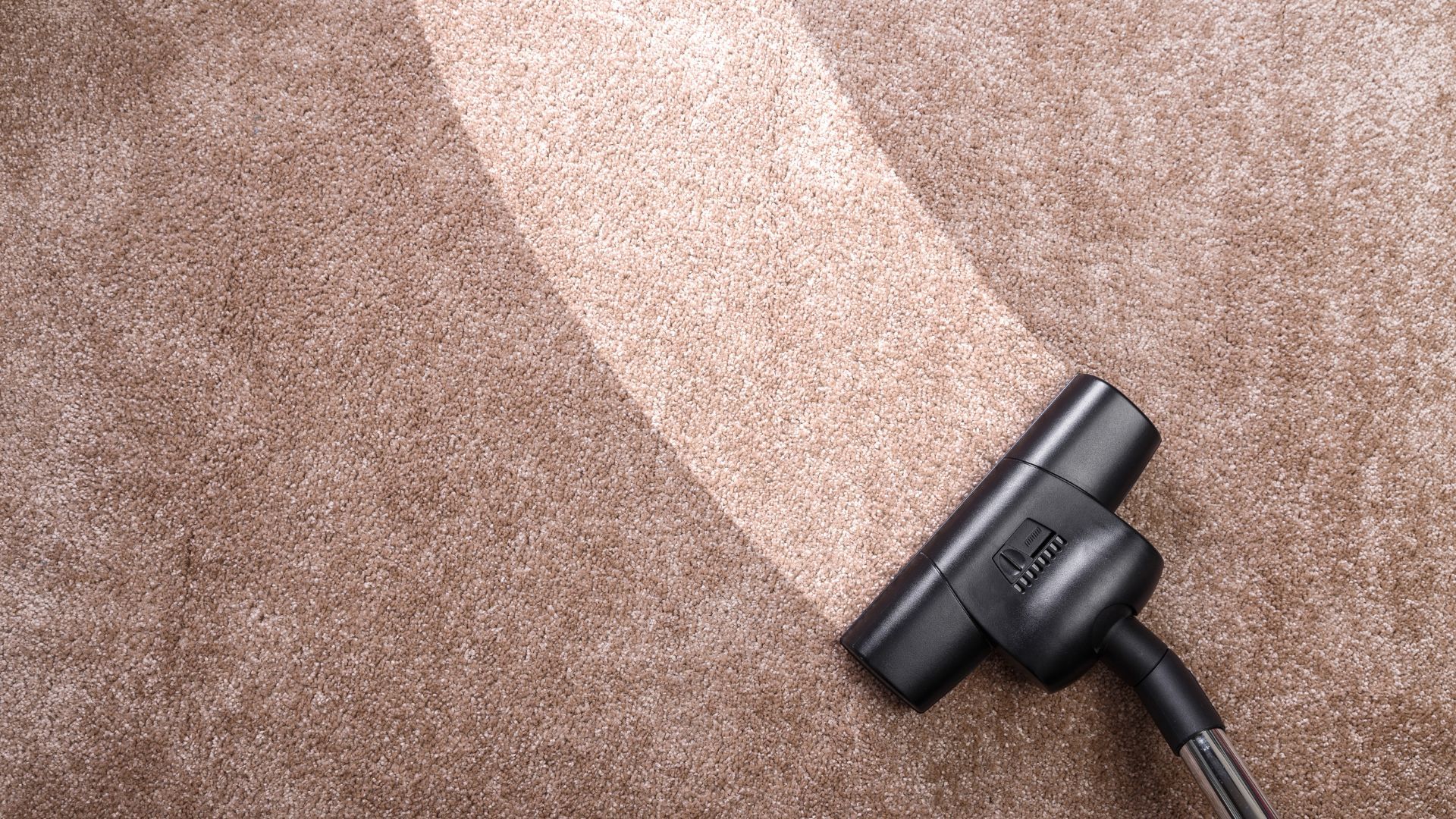 a carpet with a bright streak down the middle where it was cleaned a carpet with a bright streak down the middle where it was cleaned