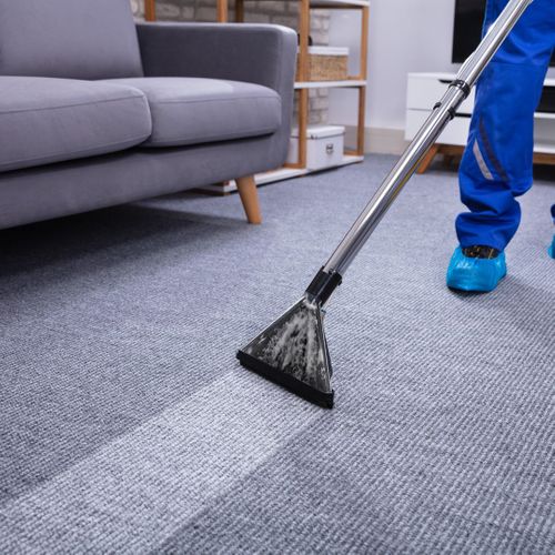 person cleaning a carpet with a noticeable difference