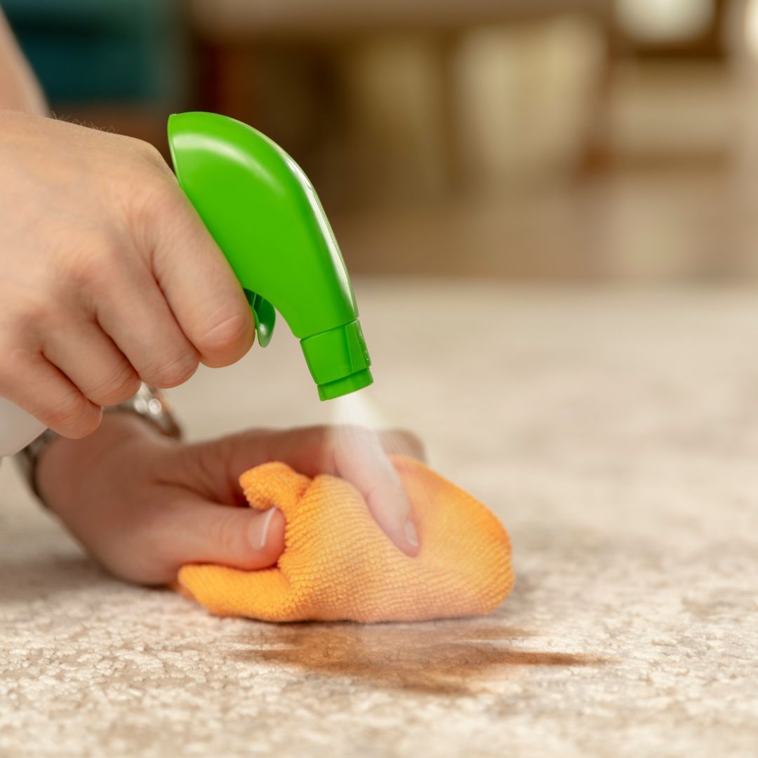 person spraying a stain on a carpet