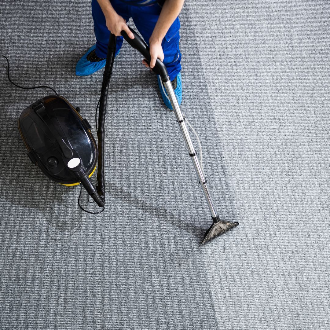 cleaned half of a gray carpet looking brighter than the other