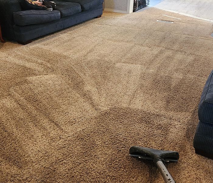 Image of house carpet Image of house carpet
