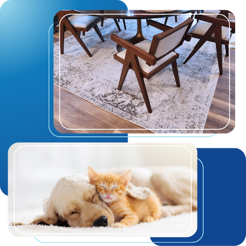 Image of a clean rug and a sleeping puppy and kitten