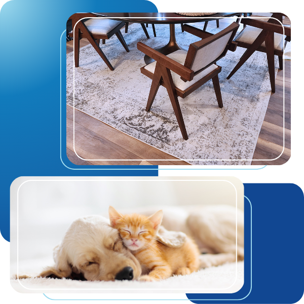 Image of a clean rug and a sleeping puppy and kitten