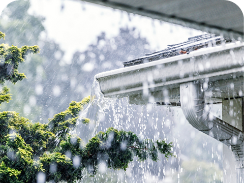 Roofing and Waterproofing