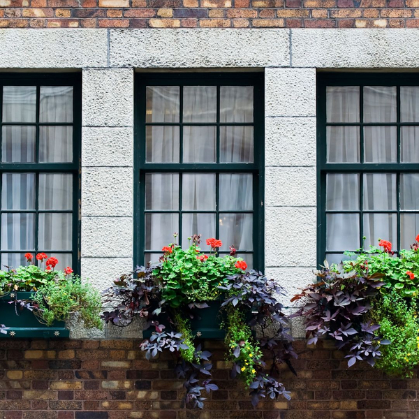 house windows