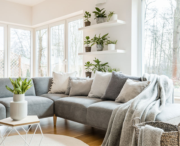 interior of living room with large windows and plants