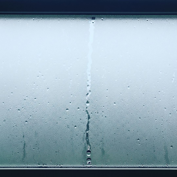 A foggy window shows significant condensation and moisture trapped between the two panes of glass. A foggy window shows significant condensation and moisture trapped between the two panes of glass.