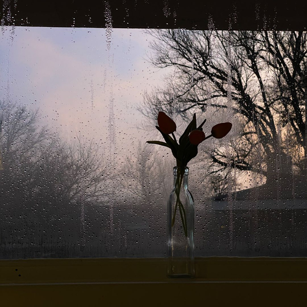 How to Make Your New Windows Last (3).jpg