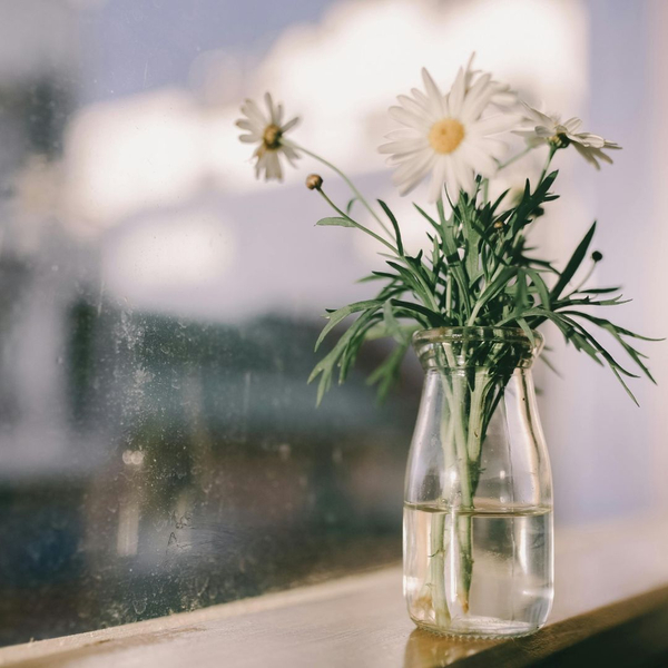 How Weather Affects Your Homes Glass Features - 4.jpg