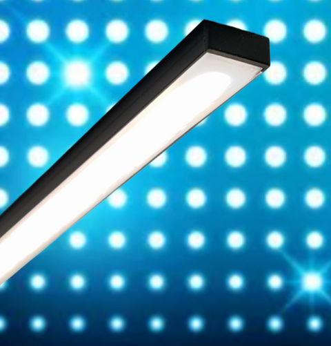 Screenshot 2023-11-05 at 12.02.04 PM.png