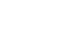 5 star experience