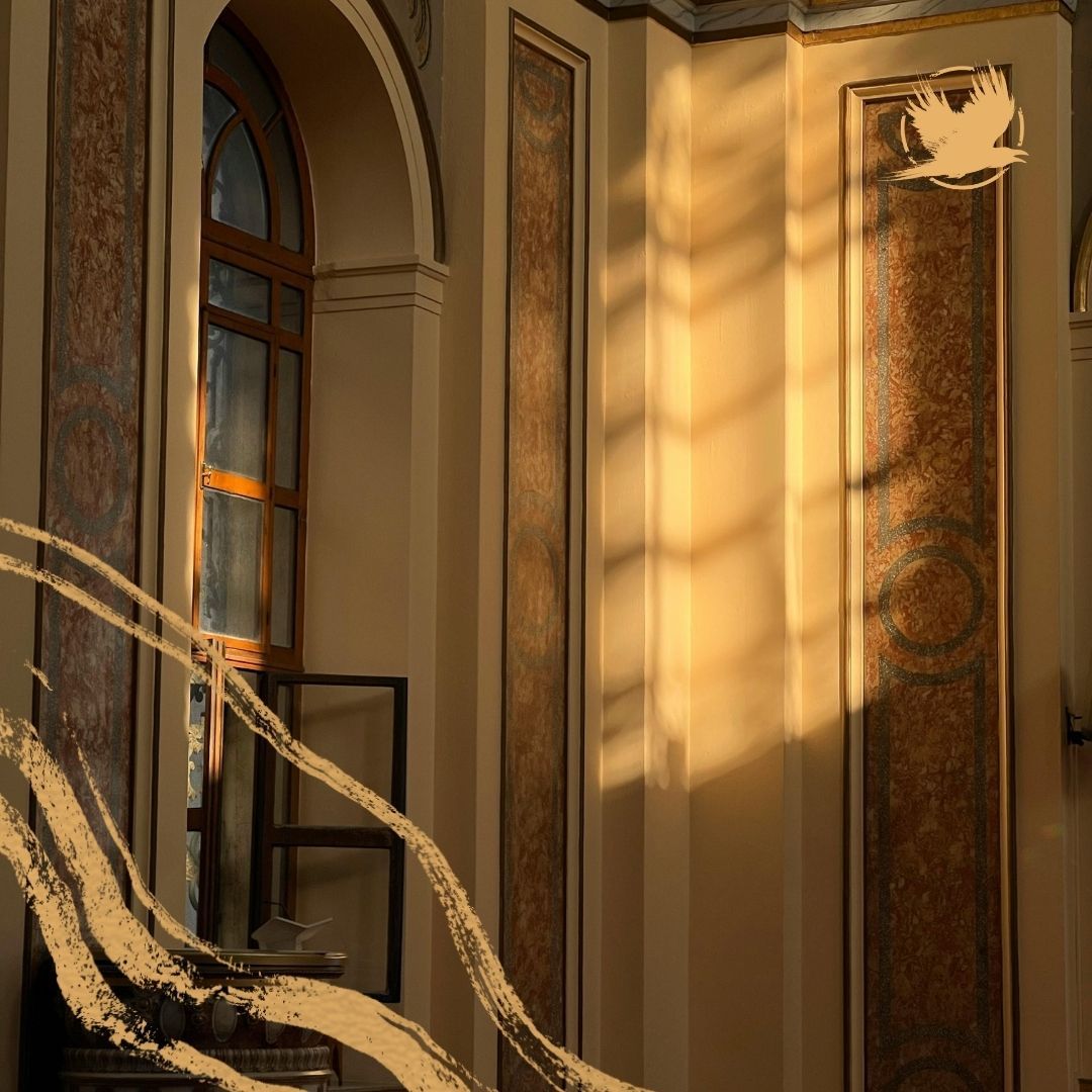 gallery 1.jpg
