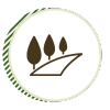 Lawn Maintenance