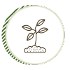 Growing Your Own Food