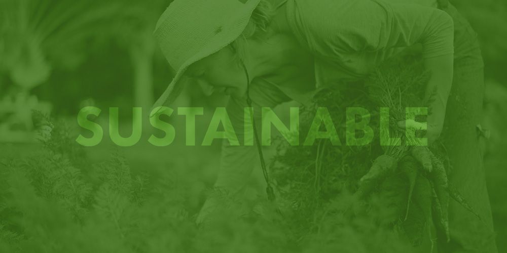 SUSTAINABLE SERVICES